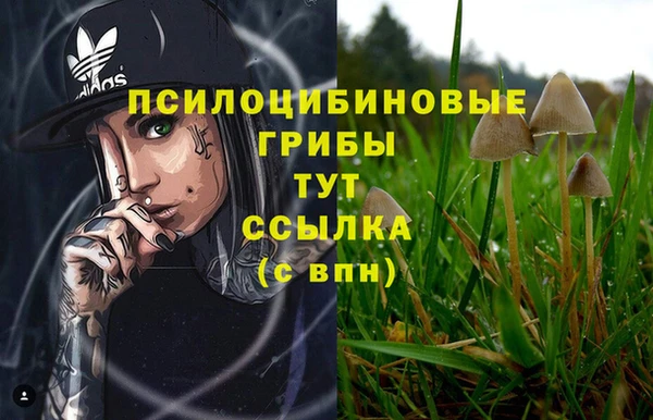 молекула духа Гусь-Хрустальный