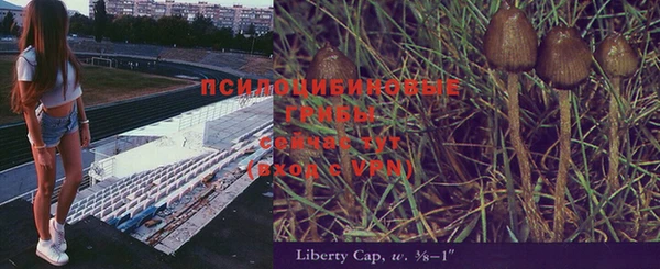 молекула духа Гусь-Хрустальный