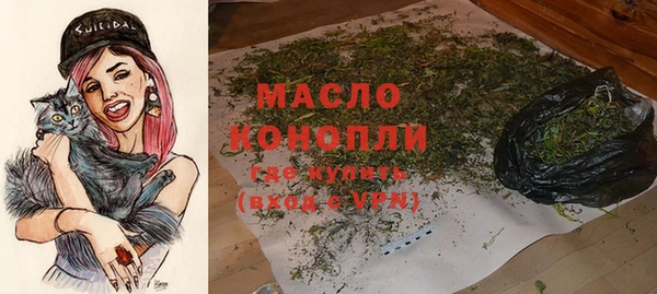 скорость Гусев