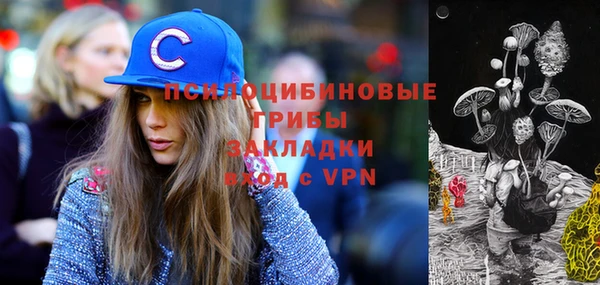 скорость Гусев