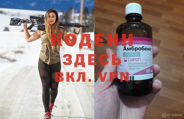 скорость Гусев