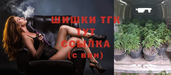 молекула духа Гусь-Хрустальный