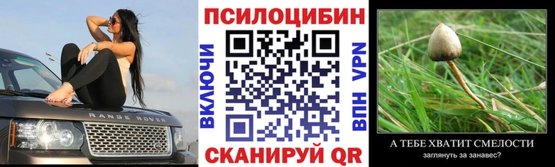 купить наркотик Чапаевск Псилоцибиновые грибы мицелий