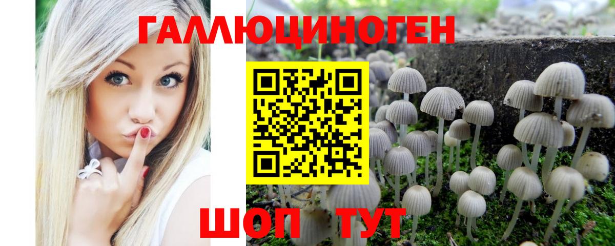 Галлюциногенные грибы MAGIC MUSHROOMS  Галлюциногенные грибы мицелий  Чапаевск  сколько стоит  Вход с VPN 